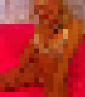 <strong>Profile Censored</strong>