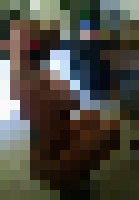 <strong>Profile Censored</strong>