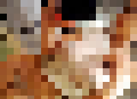 <strong>Profile Censored</strong>