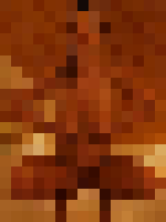 <strong>Profile Censored</strong>