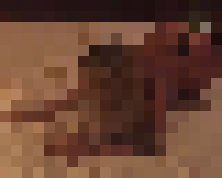 <strong>Profile Censored</strong>