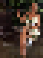 <strong>Profile Censored</strong>