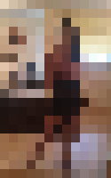 <strong>Profile Censored</strong>