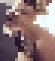 <strong>Profile Censored</strong>