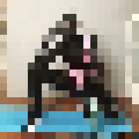 <strong>Profile Censored</strong>