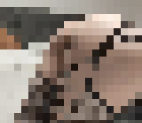 <strong>Profile Censored</strong>