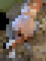 <strong>Profile Censored</strong>