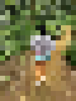 <strong>Profile Censored</strong>