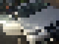 <strong>Profile Censored</strong>